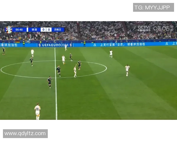 芬兰球星足球发展历程与欧洲赛场表现全面解读